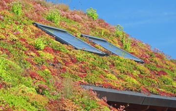 Netherend living roof systems