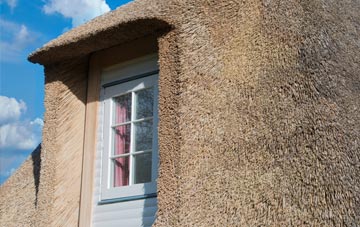 Netherend thatch roof disadvantages